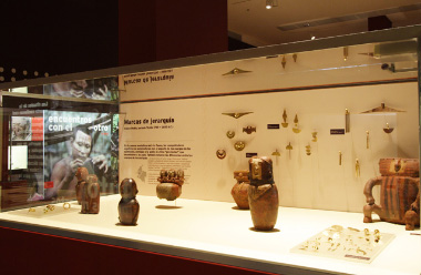 La exposici&oacute;n